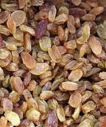 تصویر 4 از کشمش آفتابی کاشمر + لذیذ