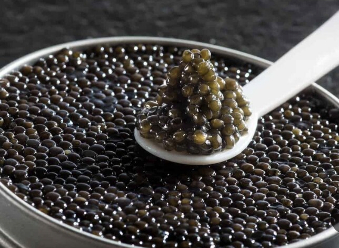 غذای خاویار