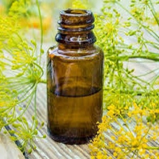 قیمت آویشن شیرازی