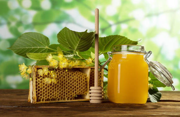 تصویر 2 از عسل گون آویشن با رایحه طبیعی گیاهان کوهستانی