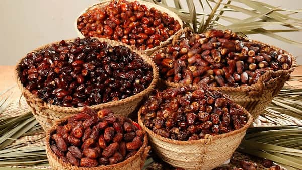 خرما عسلی بوشهر خوش‌طعم و سرشار از انرژی