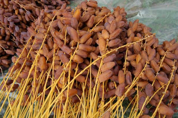 تصویر 2 از خرمای عسلی ریز میان وعده‌ سالم و خوشمزه