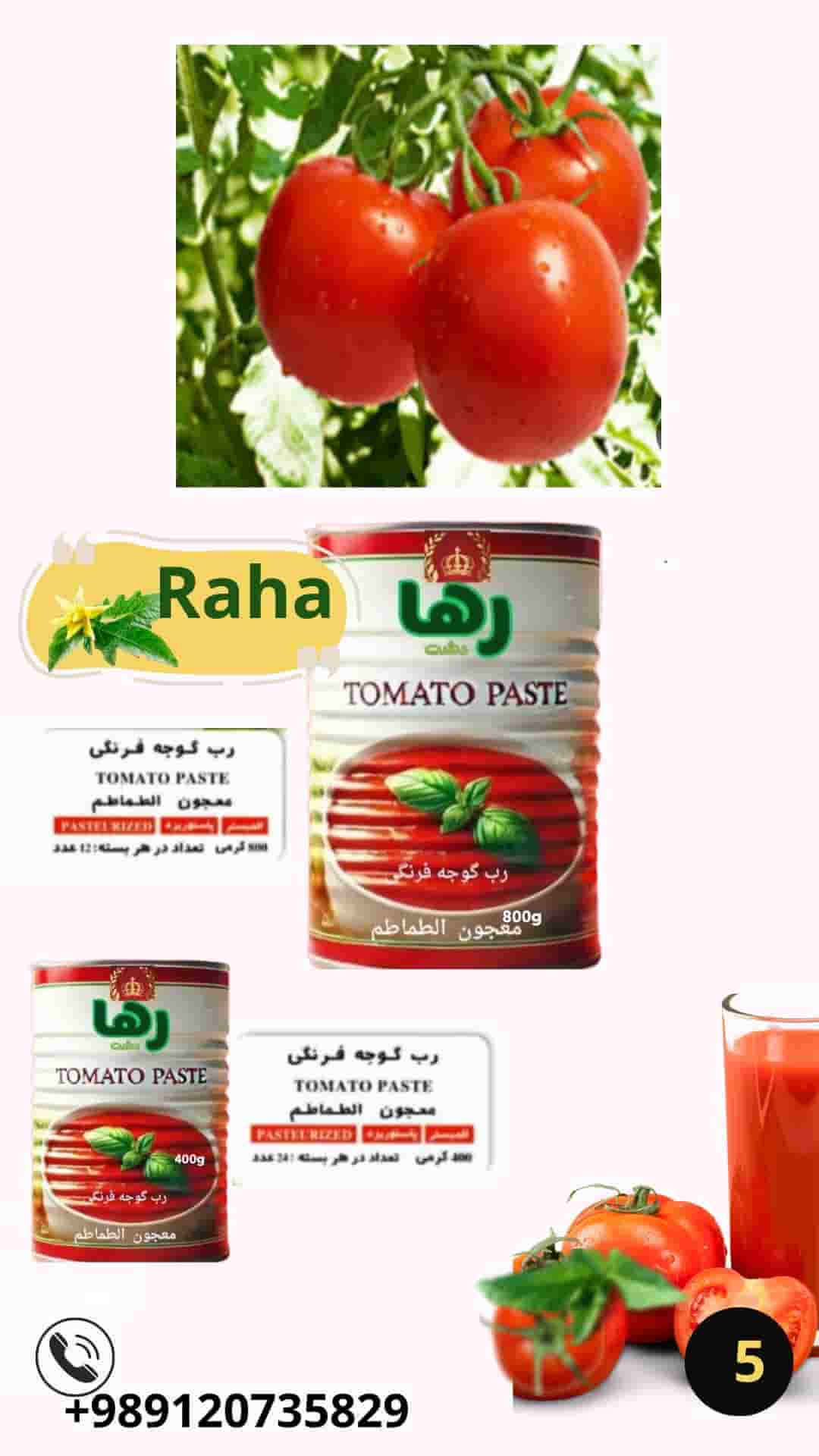 تصویر 3 از رب گوجه فرنگی ایرانی رها دشت 800 گرمی