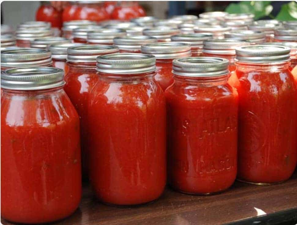 تصویر 5 از رب گوجه فرنگی رها دشت کوچک برای مصرف خانگی