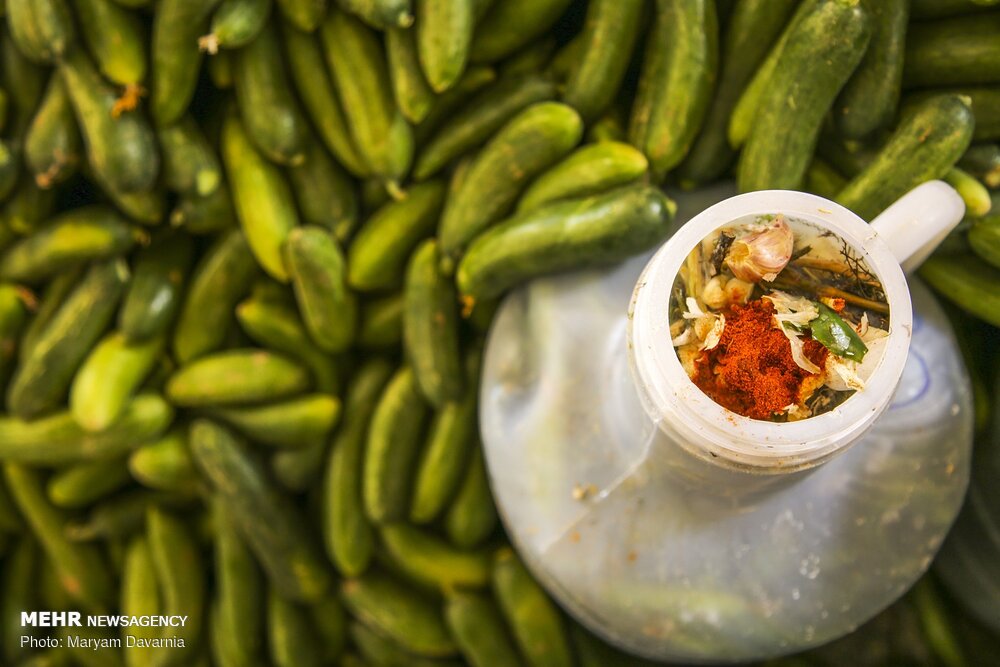 تصویر 2 از خیارشور صادراتی با بسته‌ بندی بهداشتی