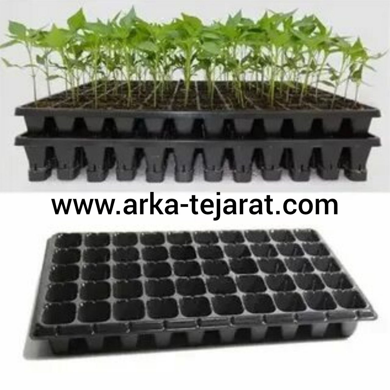 تصویر 5 از آسان سینی نخریدشا 112 حفره + قیمت به‌صرفه