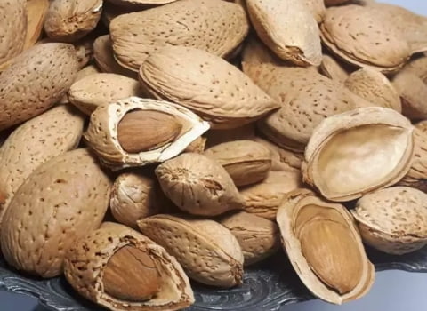 تصویر 2 از بادام سنگی پوست سخت ممتاز و اعلا