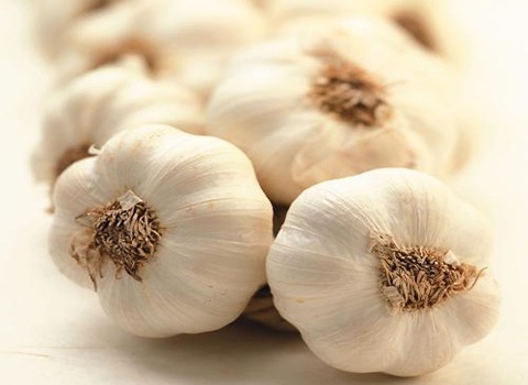 سیر همدان متوسط با اندازه متوسط و یک دست