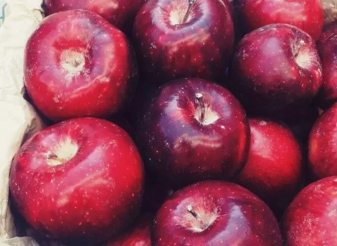 تصویر 2 از سیب قرمز درجه یک ارومیه درشت شیرین