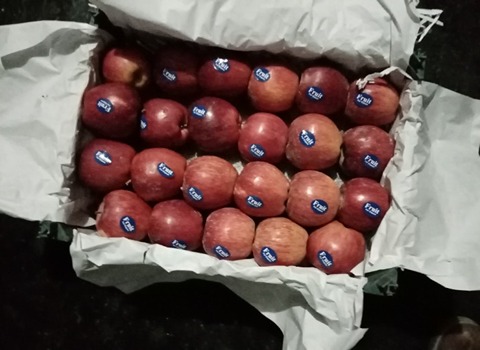 تصویر 2 از سیب قرمز پیوندی سمیرم مجلسی و لوکس