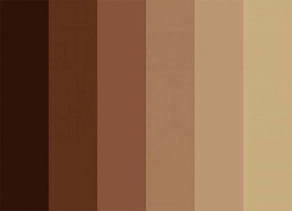 تصویر 1 از رنگ پلاستیکی شکلاتی انتخابی اقتصادی با ظاهری شیک و زیبا