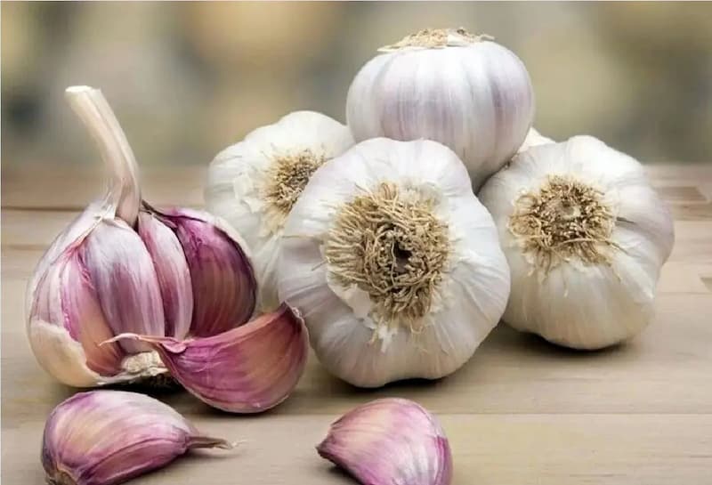 تصویر 4 از سیر فارس کوهستانی با عطر طبیعی و بافتی عالی