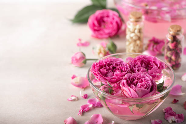 تصویر 3 از معطرترین گل محمدی اصفهان + مفید و کاربردی