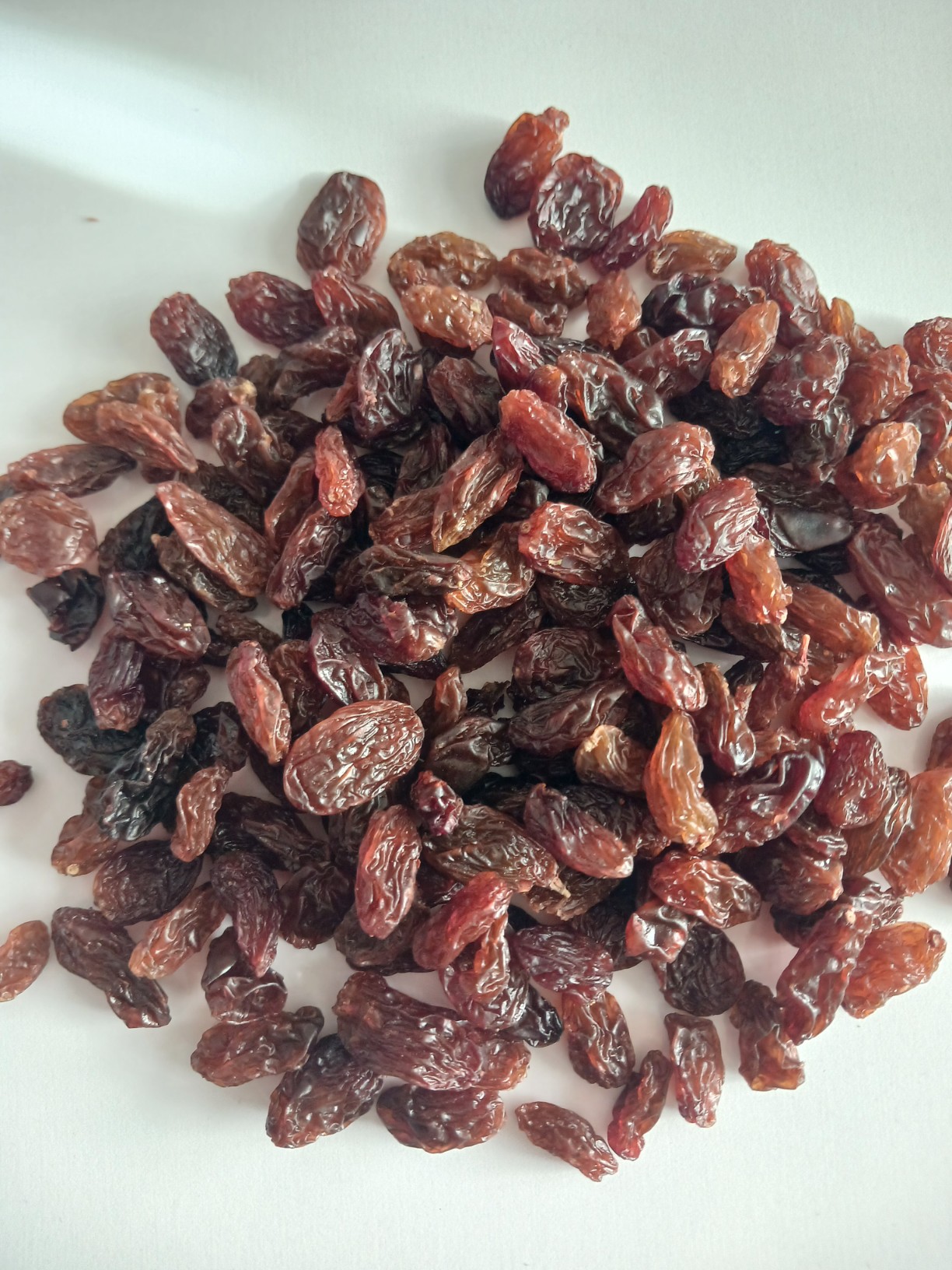 تصویر 1 از کشمش آفتابی + فروش نقدی