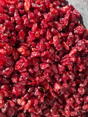 زرشک دانه اناری + فروش نقدی