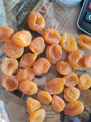 تصویر 1 از قیمت روزانه قیصی زردآلو + فروش ویژه