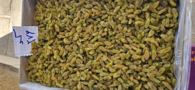 کشمش سبز قلمی کاشمر + فروش عمده