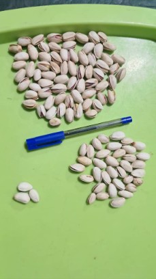 تصویر 1 از پسته احمدآقایی + باکمترین قیمت بازار