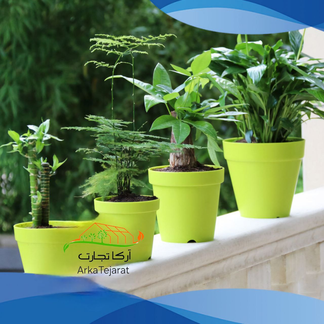 تصویر 5 از بهترین شرایط خرید انواع گلدان پلاستیکی + قیمت رقابتی