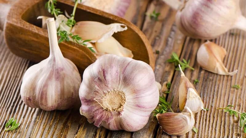 سیر قرمز تند شمال با تندی بالا و طعمی عالی در غذا ها