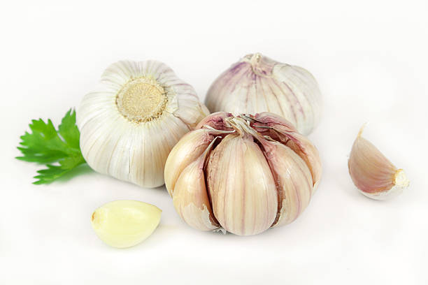 سیر صادراتی همدان خاصیت فراوان و طعمی عالی