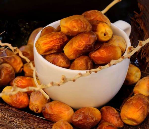 خرما زاهدی جهرم با کیفیت ممتاز و ماندگاری بالا