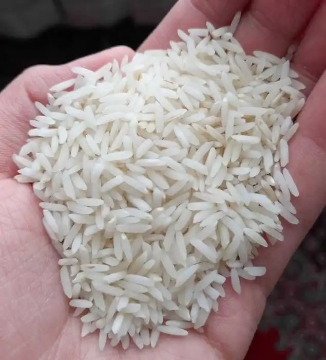 تصویر 2 از برنج هاشمی گیلانی بالاترین ری کشت