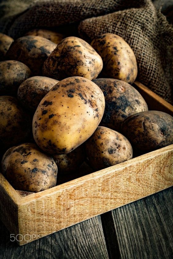 تصویر 2 از سیب‌ زمینی نو فصل با پوست نازک و طعم طبیعی