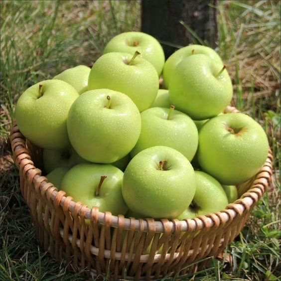 تصویر 1 از سیب سبز ترش و خوش‌ رنگ مناسب سالاد و میان وعده