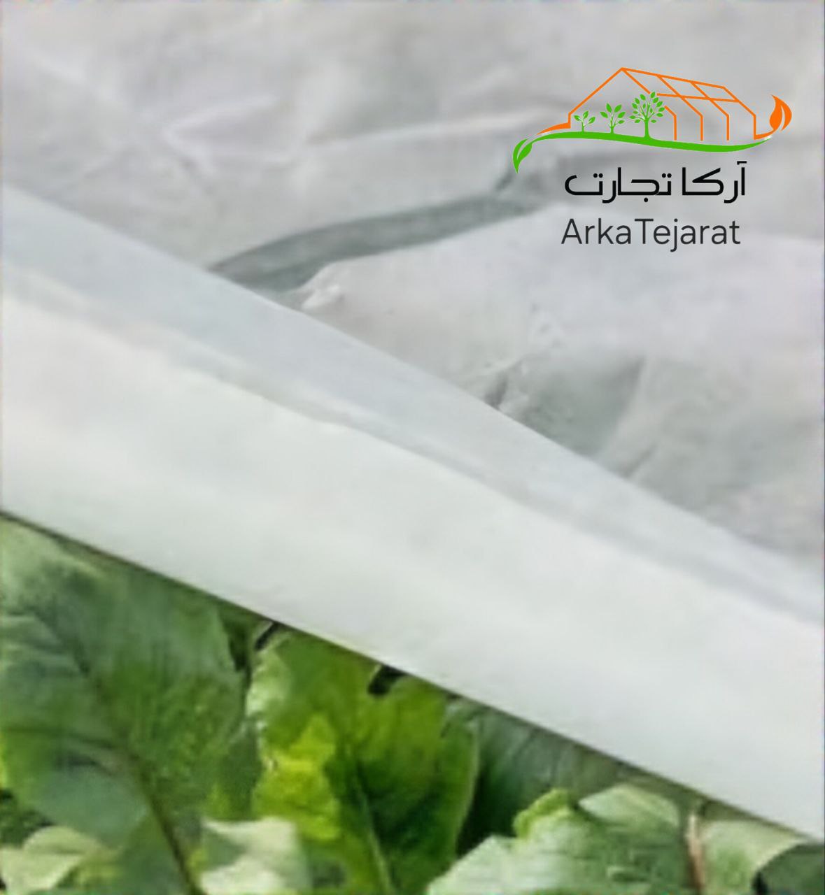 تصویر 1 از خرید و قیمت کاور ضد سرما گوجه فرنگی بی واسطه و ارزان + آرکا تجارت