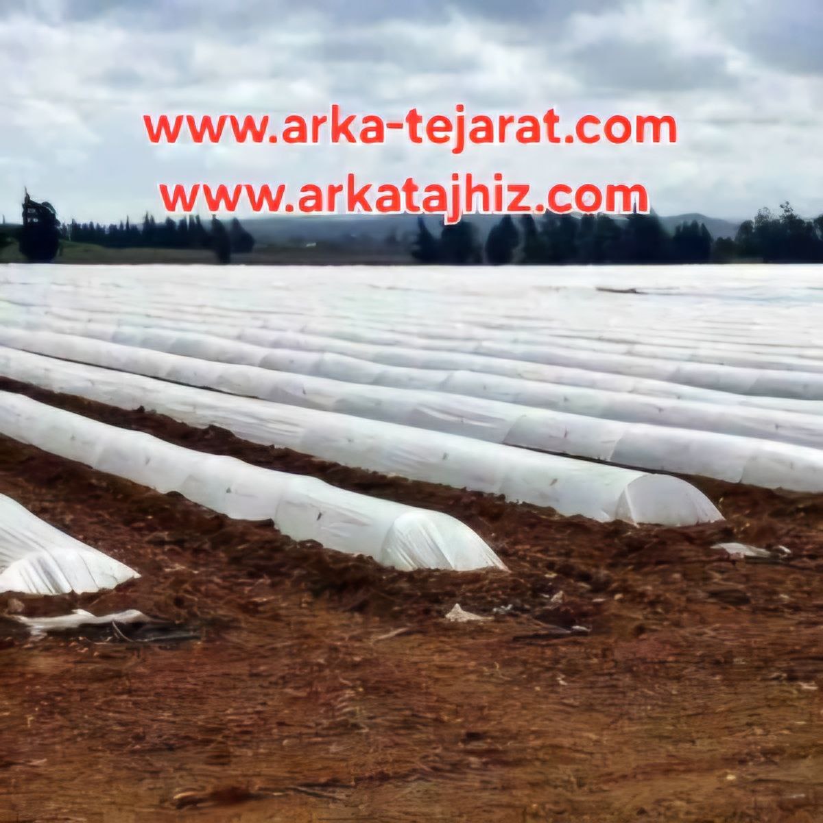 تصویر 5 از خرید و قیمت کاور ضد سرما گوجه فرنگی بی واسطه و ارزان + آرکا تجارت