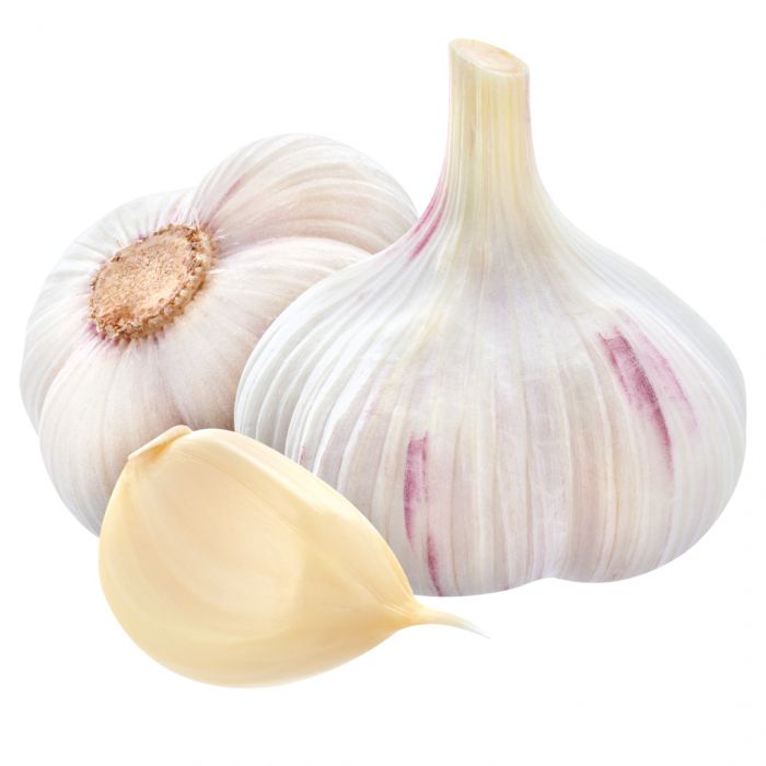 تصویر 2 از پودر سیر اعلا با عطر قوی و ماندگار