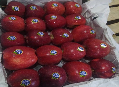 تصویر 3 از سیب قرمز سبدی بابلسر تازه و مجلسی