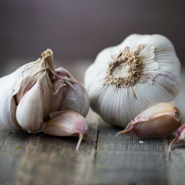 تصویر 2 از پودر سیر اصل مناسب آشپزی روزانه خانگی و انواع غذا