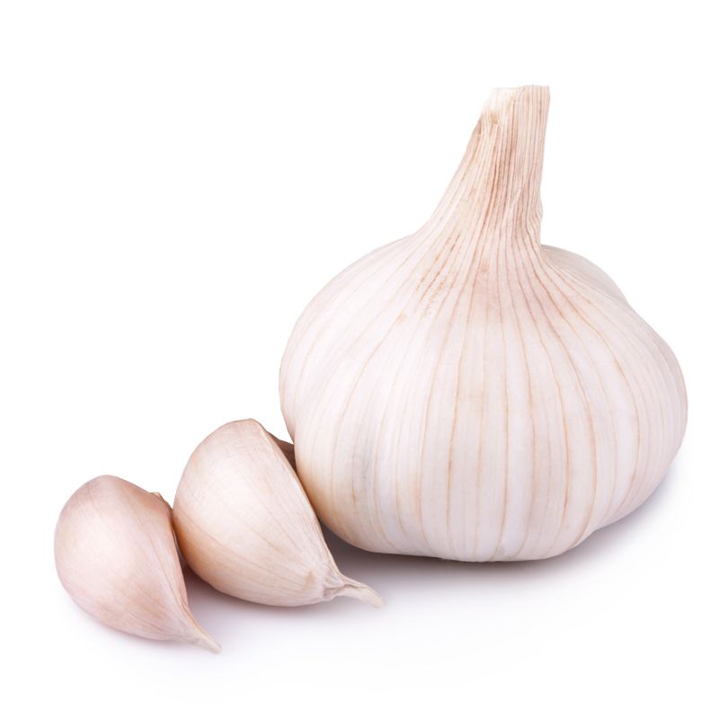 تصویر 1 از پودر سیر چینی اقتصادی برای مصارف روزمره