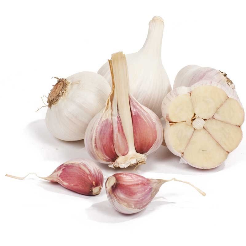تصویر 3 از پودر سیر سفید با کیفیت ممتاز صادراتی و درجه‌ یک