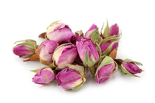 بهترین غنچه گل محمدی تازه ممتاز و ارزان