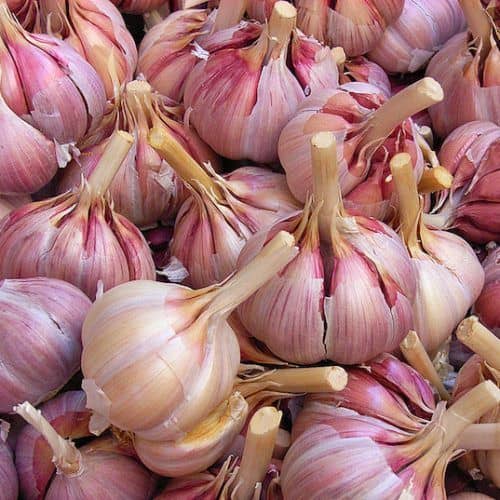 پودر سیر ایرانی با طعم طبیعی و خالص