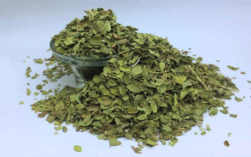 آویشن برگ پهن مرغوب برای انواع غذاها و دم نوش های گیاهی
