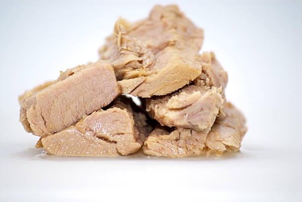 پخش انواع کنسرو تن ماهی گلدن مال + طعم واقعی ماهی
