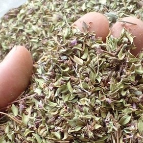 تصویر 3 از آویشن برگ پهن خشک با طعم مطبوع و عطر فوق العاده