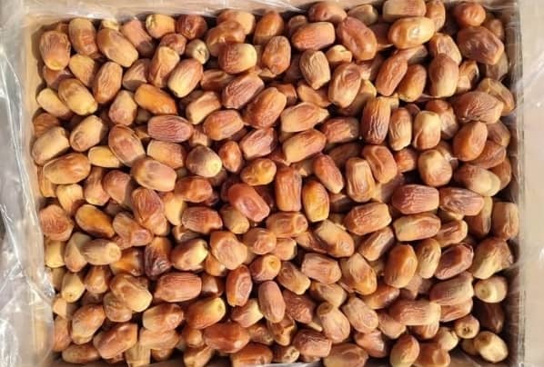 تصویر 4 از خرما زاهدی بوشهر بهترین کیفیت تناژ بالا