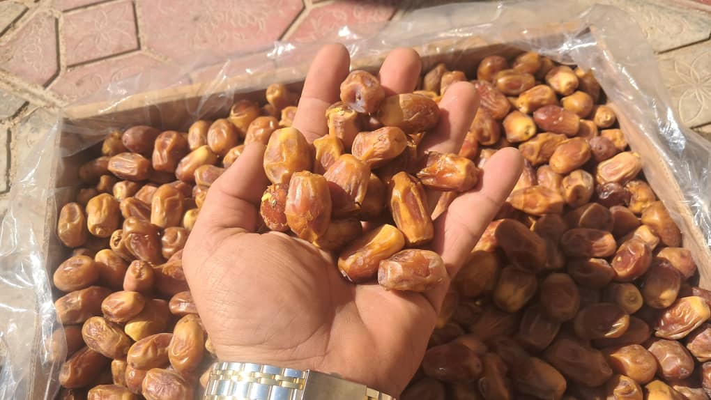 انواع خرما زاهدی استان فارس قیرو کازرون قیمت مناسب صادرات به کشور افغانستان