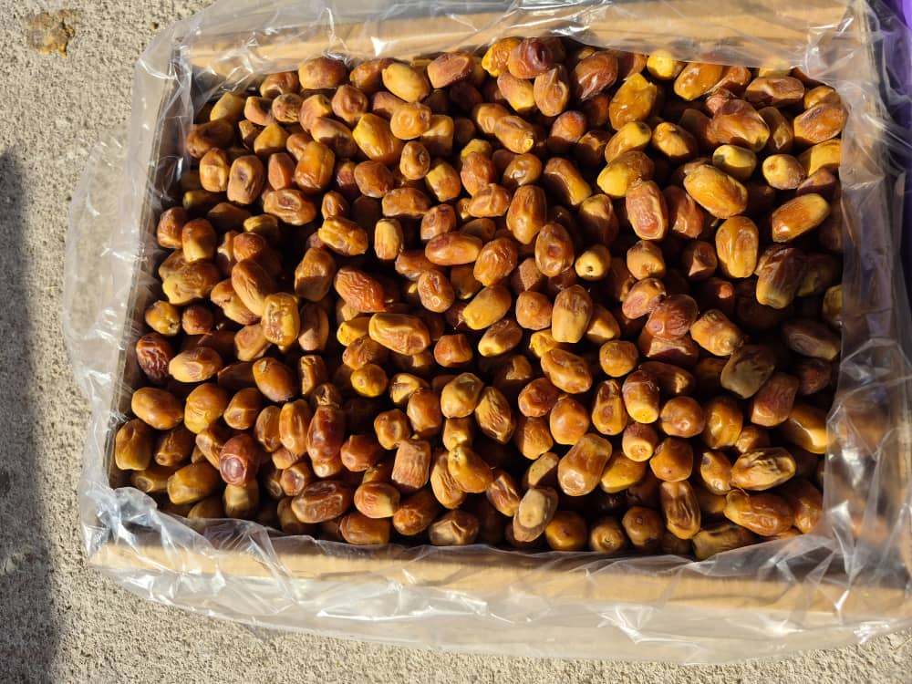 تصویر 1 از فروش انواع خرما زاهدی استان بوشهر صادرات به کشور تاجیکستان و ارمنستان