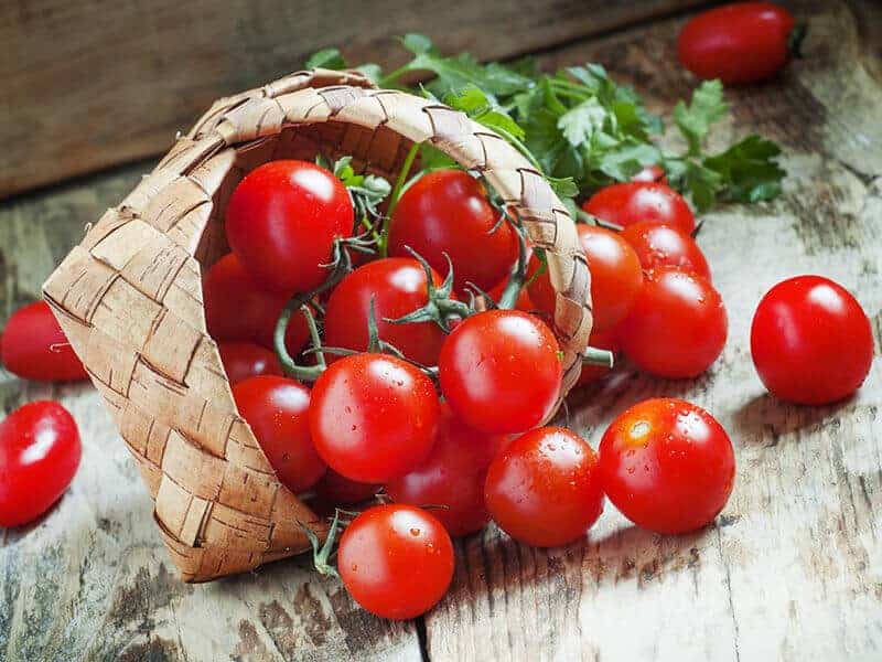 گوجه فرنگی ارگانیک قرمز ریز تازه و خوش طعم