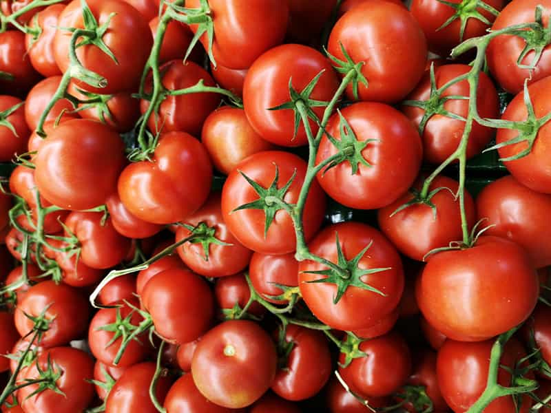 تصویر 2 از گوجه فرنگی ارگانیک قرمز عمده تازه و ارزان