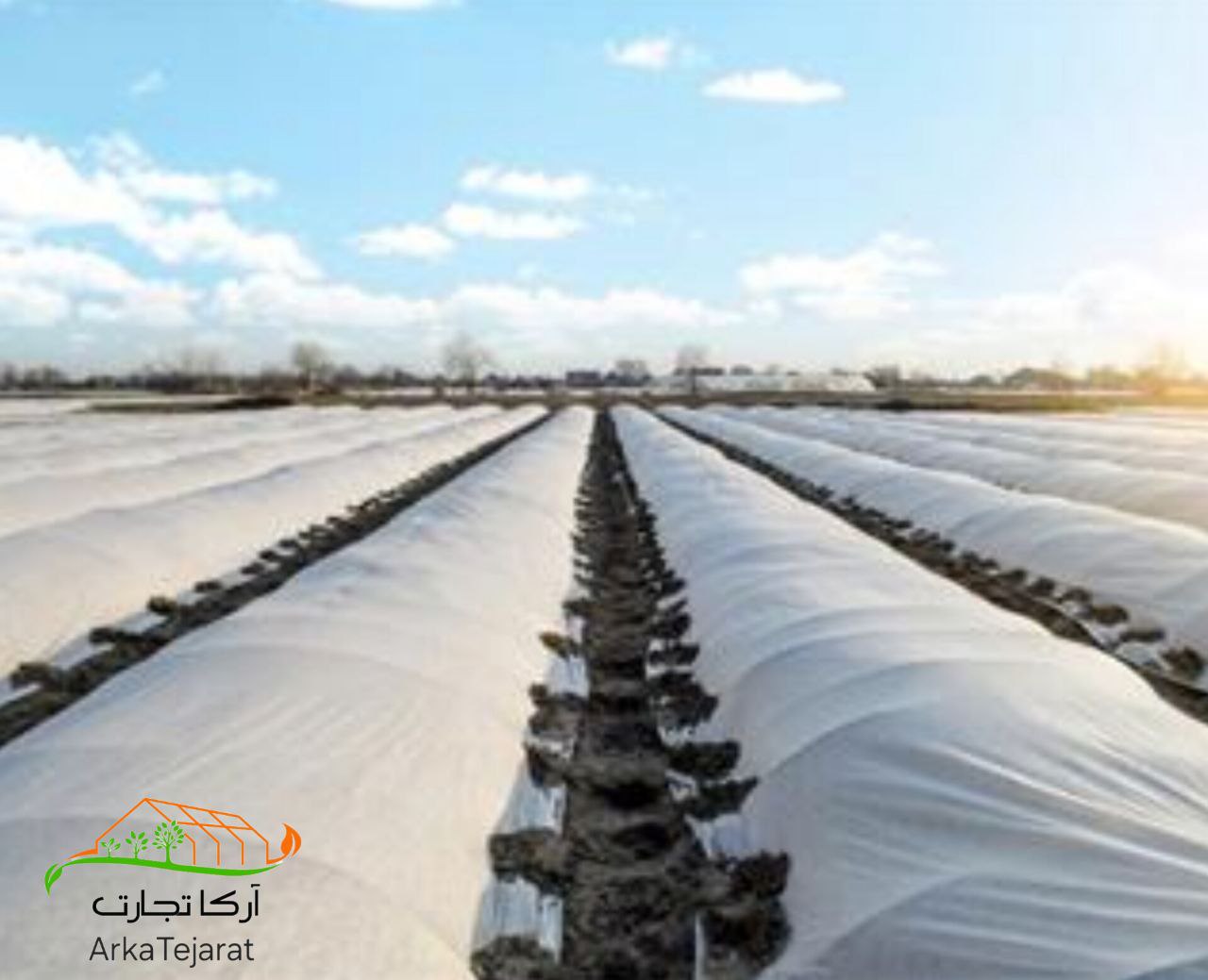 تصویر 1 از بهترین کاور ضد سرما گوجه‌فرنگی عرض 7 متر + قیمت خرید عالی از آرکا تجارت