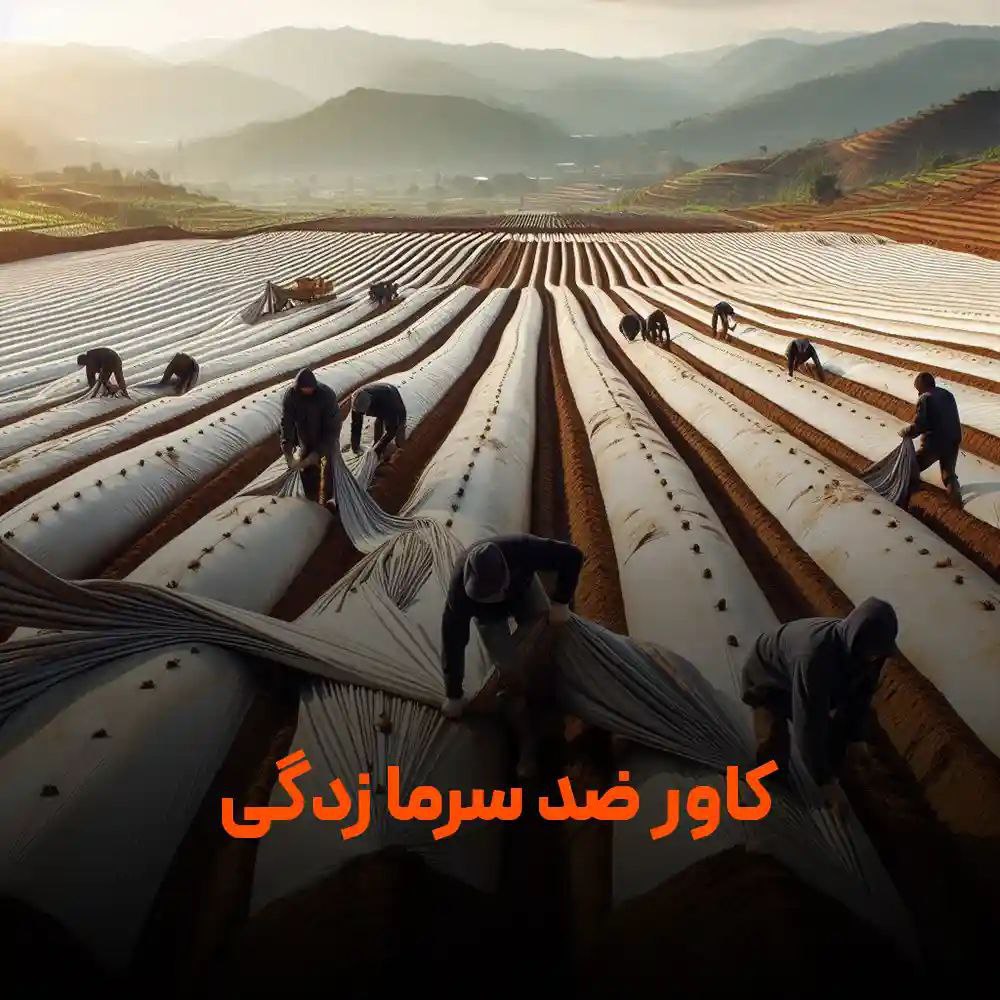 تصویر 4 از پخش عمده انواع کاور ضد سرما کشاورزی + قیمت مناسب و بی‌واسطه