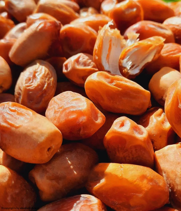 تصویر 1 از خرما زاهدی مرغوب با پوست شفاف و نرم