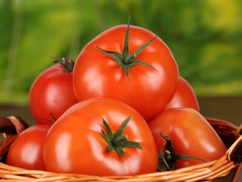 رب گوجه فرنگی شبفته طبیعی و غلیظ